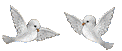 doves.gif (3724 bytes)